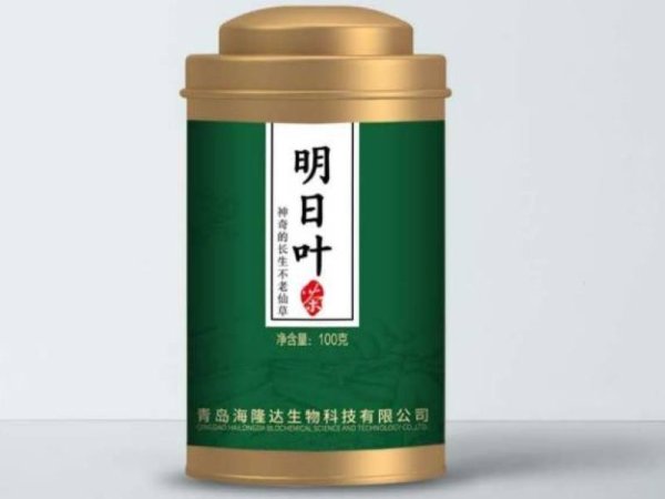 明日叶