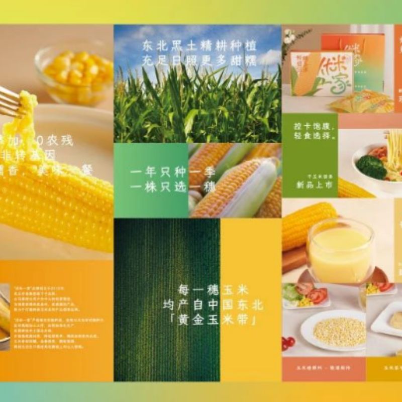优米一家 图2