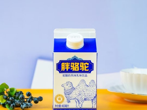 胖骆驼 驼酸奶 图3