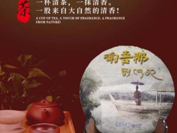 云南普洱茶生茶头春茶 357饼茶特级料