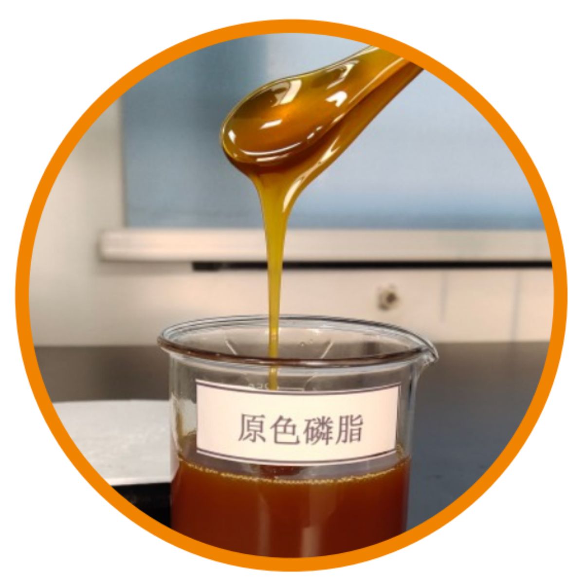食品级大豆磷脂 图3