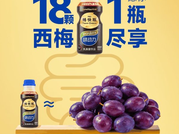 味动力畅快瓶300mL/瓶-  图2
