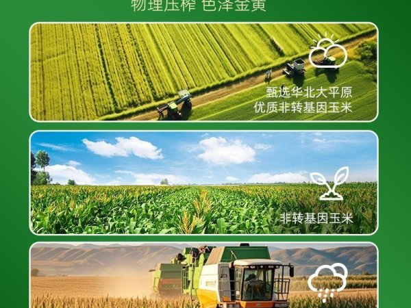 玉星鲜胚玉米油5升/瓶 图5
