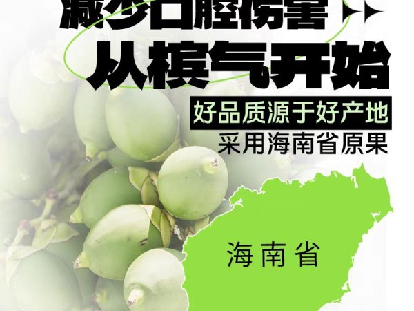 原味槟果40g 图3