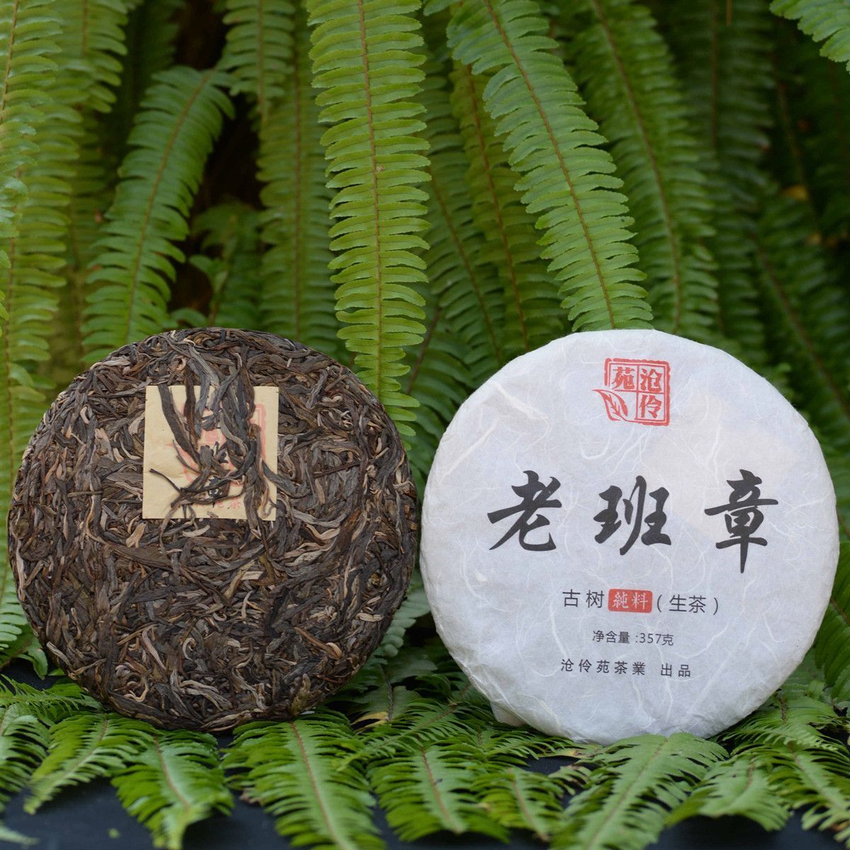 老班章古树（纯料生普） 图3