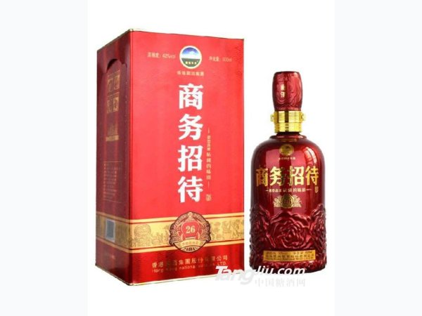商务招待26