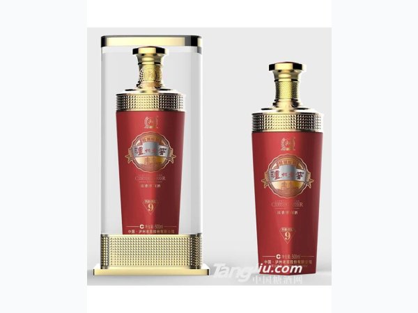 泸州老窖特别酿制天颐酒坛
