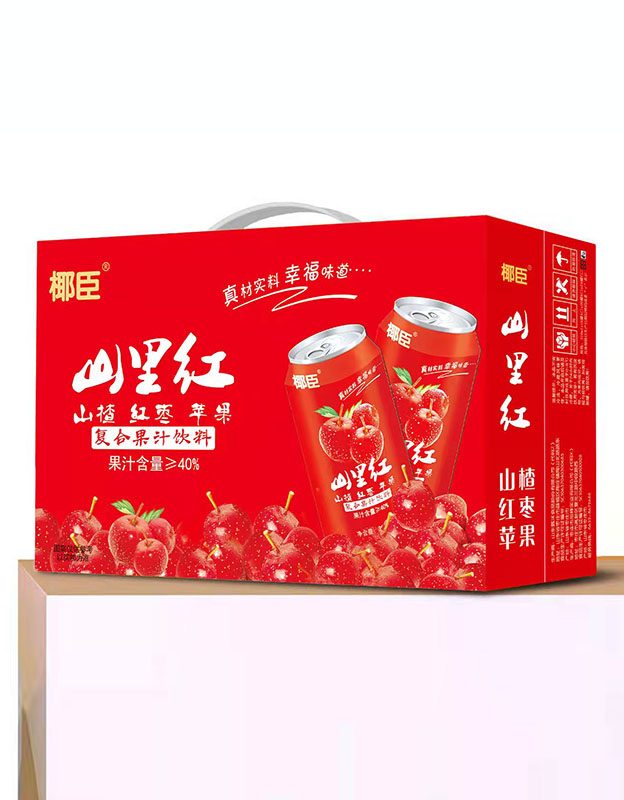 椰臣-山里红复合果汁饮料