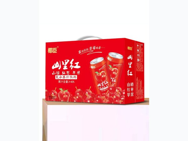 椰臣-山里红复合果汁饮料
