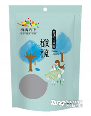 梅满天下-橄榄（原果味）-160g