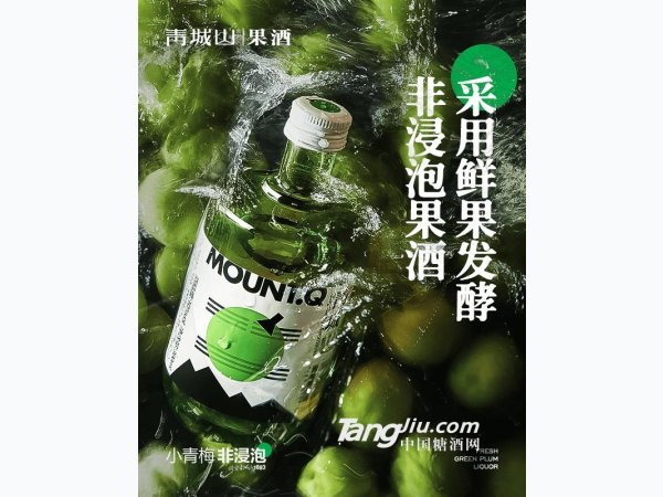 青梅果露酒338ml