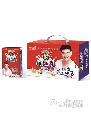 康伯爵品质核桃乳250ml标砖