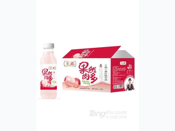 果然肉多荔枝椰果复合果汁饮料450ml