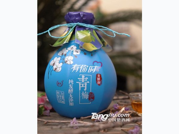 12&deg;有你时青梅发酵酒-500ml