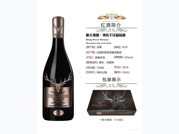鹿王维恩&middot;博若