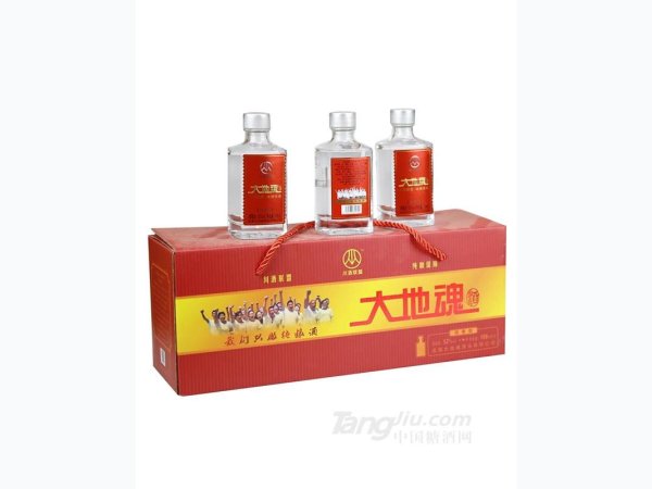 100ml大地魂浓香小酒（手提盒）
