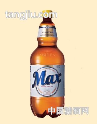 麦思1.6升
