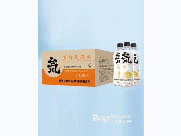 苏打气泡水-卡曼橘味480ml