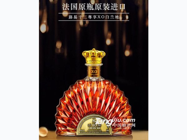 路易十二尊享XO白兰地