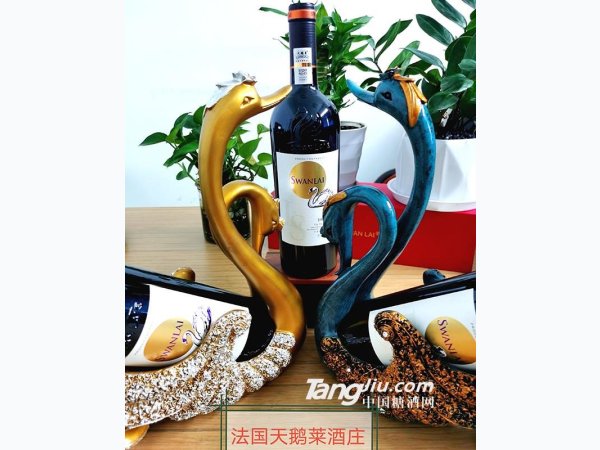 法国天鹅莱酒庄实物展示 图1