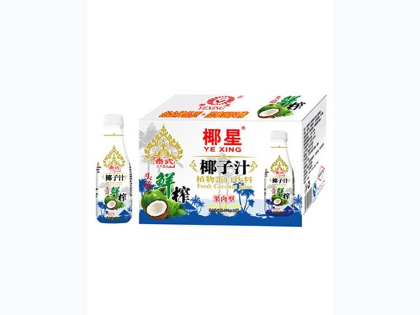 椰星泰式鲜榨椰子汁500gx15瓶