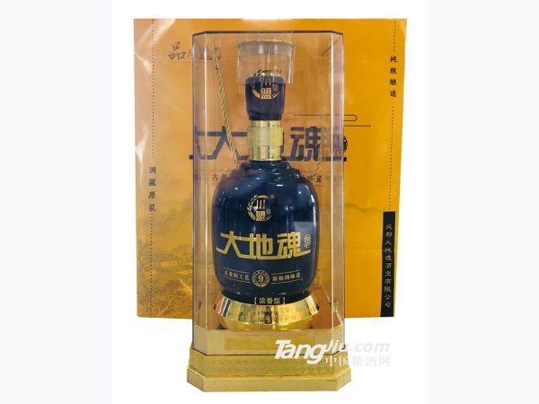 500ml大地魂黑色迎宾酒9号（礼盒)