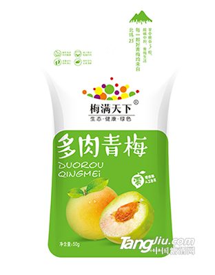 梅满天下-多肉青梅-50g