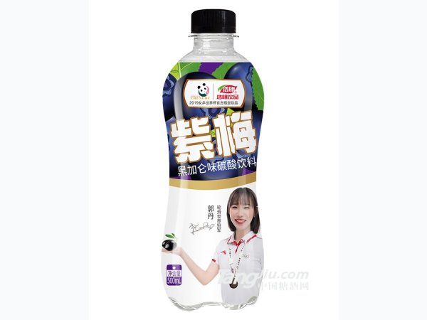 紫梅黑加仑味碳酸饮料500ml