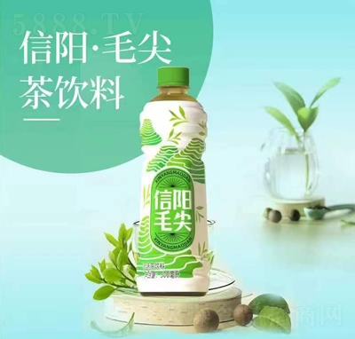 茶动能信阳毛尖调味茶饮料500ml